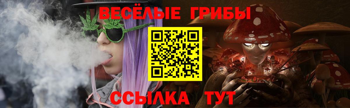 Псилоцибиновые грибы мицелий  Вход с VPN  Коркино 