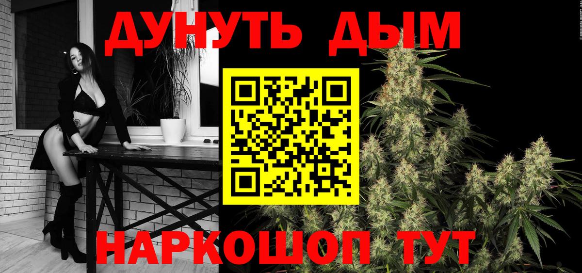 Бошки Шишки гибрид Коркино